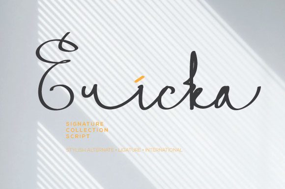 Ericka Font Review
