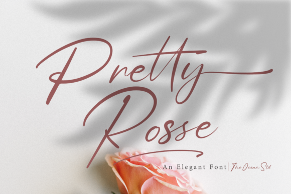 Pretty Rosse Font for Web Design